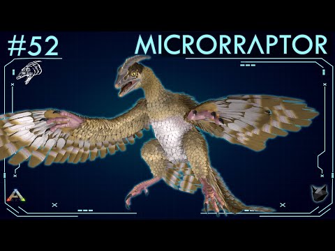 ALL ABOUT THE MICRORAPTOR (#52) | ARK: Survival Evolved | The Island Dossiers |