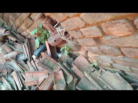 Kittens playing hide and seek 🐱🐱