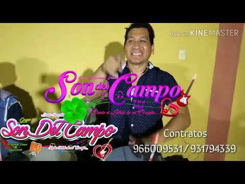 Parranda instrumental DR// son del campo en vivo contactos al 992544824 / 931794339