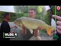 Carp Fishing at Elphicks Prairie Lake: Battling the Heat for Big Catches!