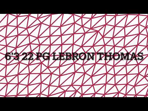 6’3 PG 2022 LEBRON THOMAS TRINITY COLLEGIATE