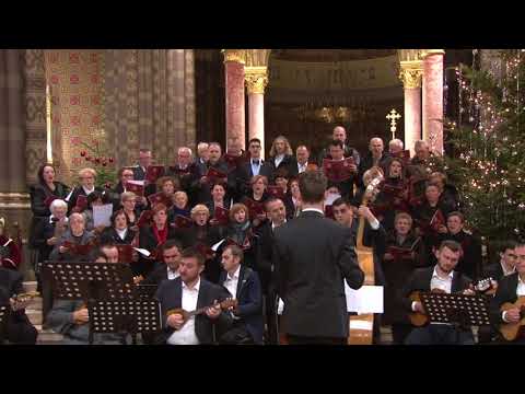 TO Campanera i Katedralni mješoviti zbor - "Čestit svijetu"