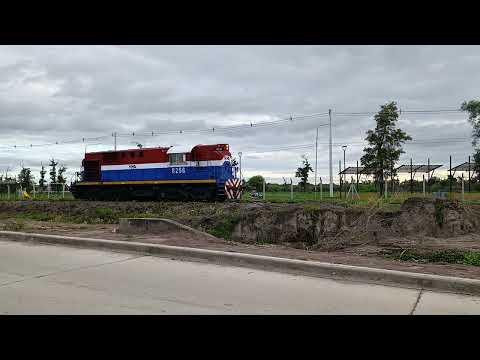 Alco (8256) liviana con rumbo a "Est. La banda" proveniente del "Est. Forres" en plena tarde 🚂🌇