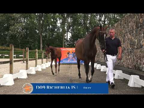 VD09 Veterinaire video - Richerlia JS - (Fontaine TN x Krack C)