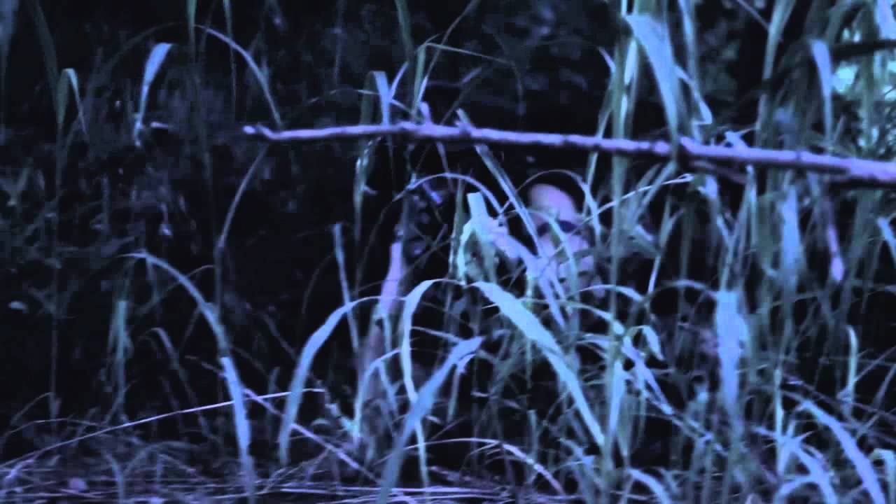 Summer Camp Promo