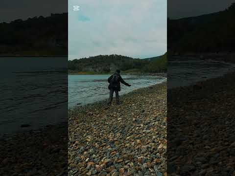 📍Parque nacional tdf - #ushuaia #tierradelfuego