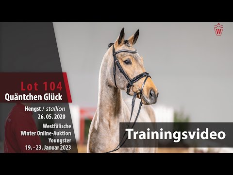 Winter Online-Auktion Training Lot 104 Quäntchen Glück Hengst v. Qaside MD - Captain Fire