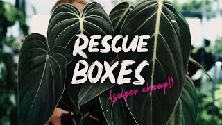 What's inside these boxes?