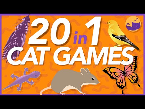 20 in 1 GAMES FOR CATS - 12 hours of Sensory Fun for Bored Cats 🐱
