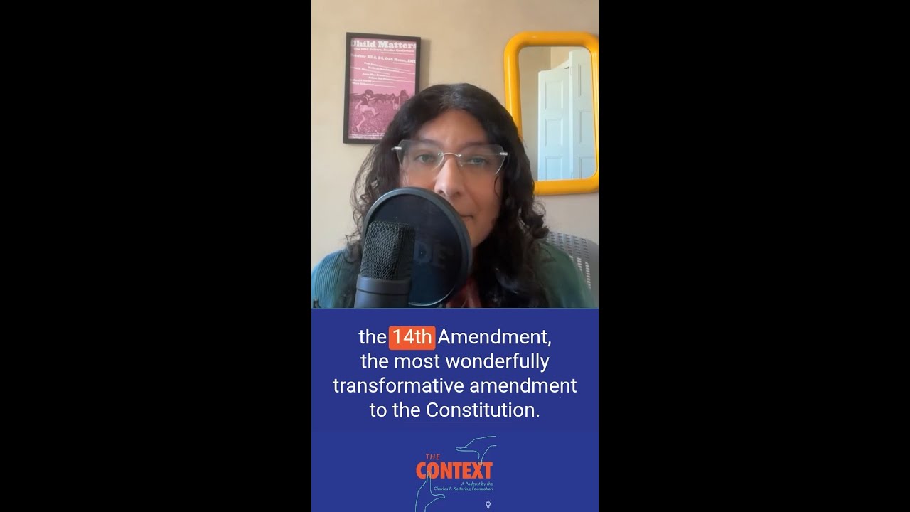 Episode 2 of Democracy, Under Construction | #TheContext