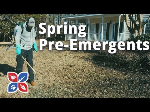  Do My Own Lawn Care - Spring Pre-Emergents Video 