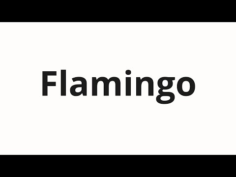 How to pronounce Flamingo | Фламинго (Flamingo in Russian)