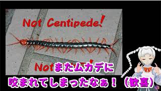 罪の告白をする呎衣羅こかで【セルフ切り抜いてみた】