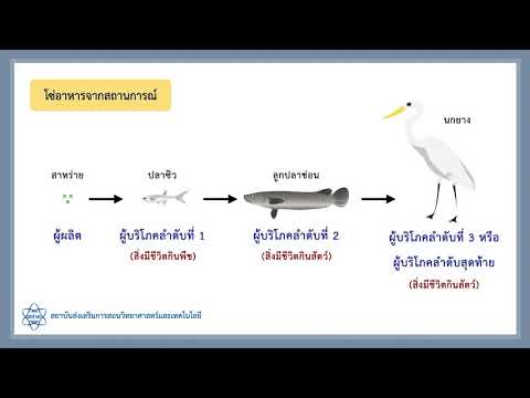 การสะสมสารพิษ