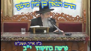 הרב בן ציון מוצפי • פרשת בחוקותי תשע"ח (הרב בן ציון מוצפי) - התמונה מוצגת ישירות מתוך אתר האינטרנט יוטיוב. זכויות היוצרים בתמונה שייכות ליוצרה. קישור קרדיט למקור התוכן נמצא בתוך דף הסרטון
