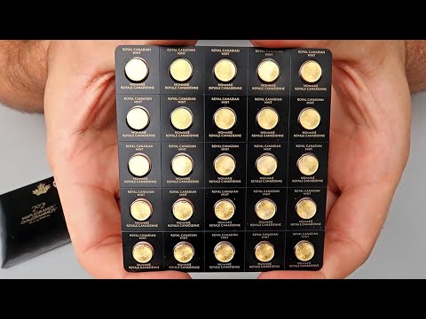 Prepper Fractional Gold Coins - 2021 25x1 gram Gold Maplegram25