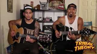 Mr. 2Nite - Tribal Theory - Acoustic