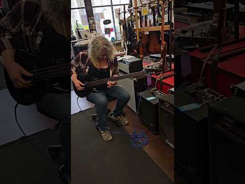 Immagine Samick Fretless Bass - 15