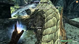 TES 5 Skyrim. Ритуальная магия. Изменение.