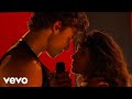 Shawn Mendes, Camila Cabello - Señorita (Live From The AMAs / 2019)