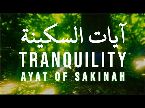 AYAT OF TRANQUILITY - SAKINAH آيات السكينة لدفع الهموم