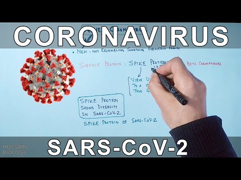 Coronavirus | SARS CoV-2