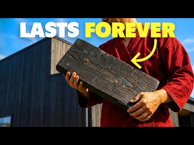 How A FREE Japanese Trick Makes Wood Rot-Proof, Fire-Resistant, and Insect-Proof