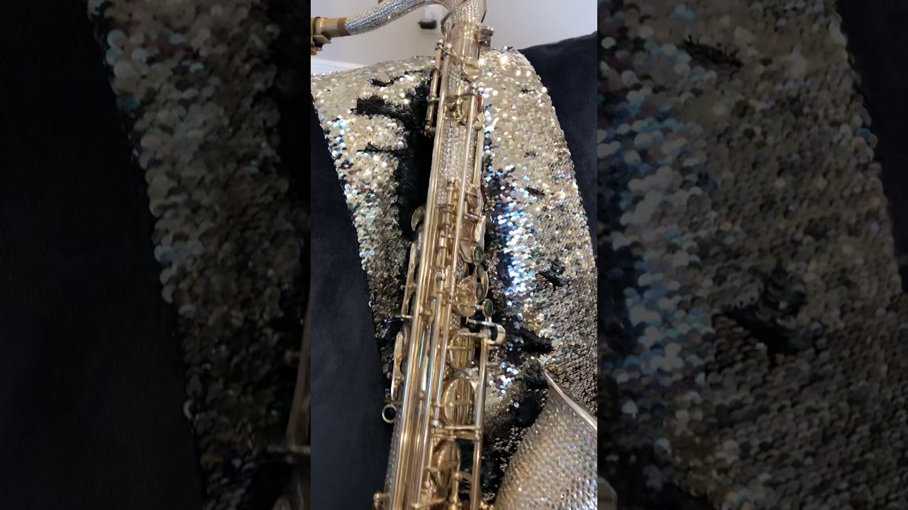 Promotional video thumbnail 1 for Johnny Mag Sax