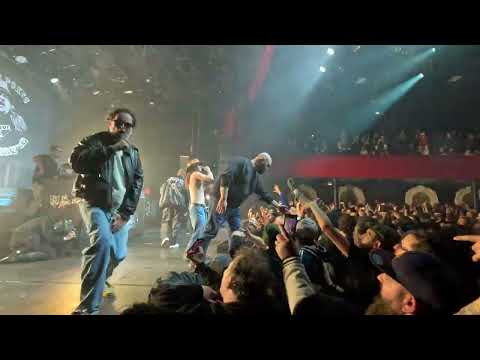 Svinkels - Réveille le Punk - Live au Bataclan (videaste.eu)