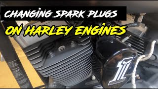How to Change Spark Plugs on a Harley Davidson | Gold Spark Plugs? | Motovlog harley davidson
