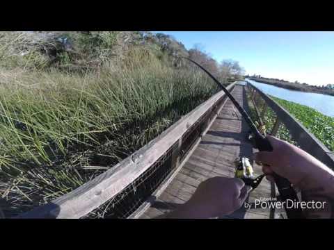 Catching BIG BULLHEADS at pinto lake