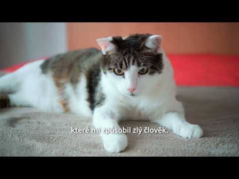 Veliký Nero má veliký nádor v hlavičce