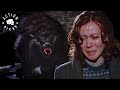 Werewolf Shot Dead By Police An American Werewolf In London