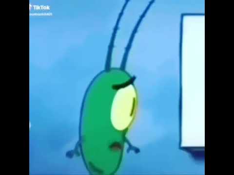 das kleine küken piept plankton