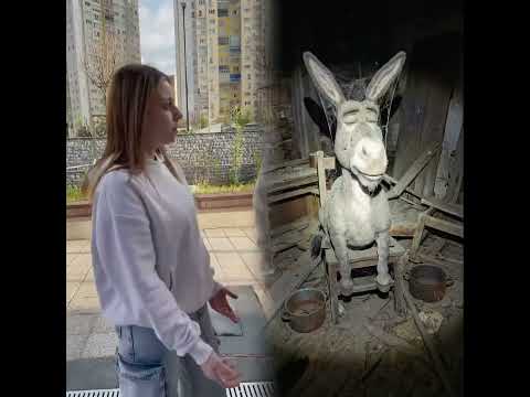 #illustration #tattoo #art #pov #procreate #drawing #whydidntmyexcomeback #digitalart