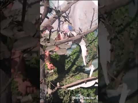 Camina en San Rafael La Independencia, Huehuetenango