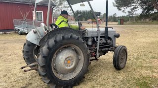 Massey Ferguson Grålle traktor på hjul til salg - Billede 4 | Agroline DK Massey Ferguson Grålle traktor på hjul | Billede 4 - Agroline