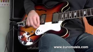Video thumbnail for Epiphone Riviera 1998 - Guitar Sound Test by Euromusix