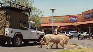 MIA AND THE WHITE LION 2018 LION INSIDE THE MAL
