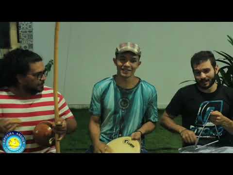 Tony, pitoco e formiga