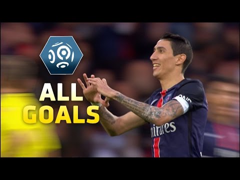 Goals compilation : Week 13 / 2015-16