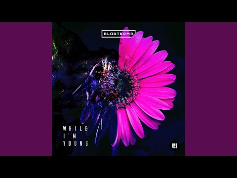 While I'm Young (Toomanylefthands Remix)