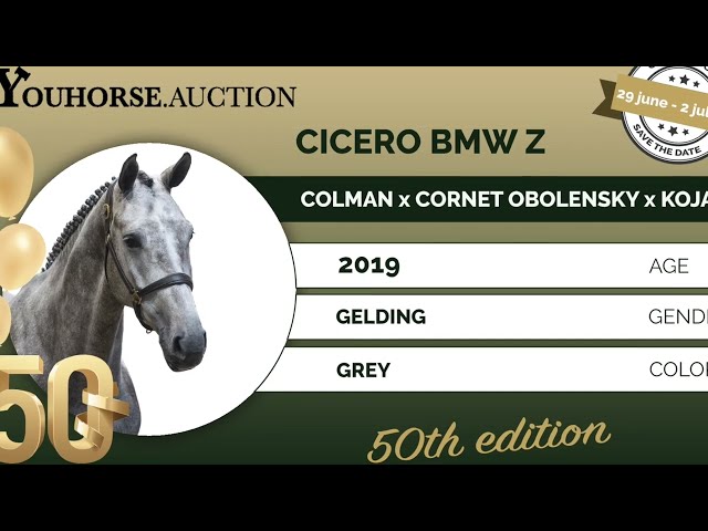 Cicero trainingsvideo