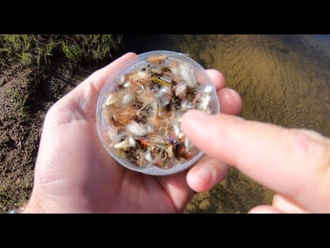 MATCHING THE HATCH, OR NOT, FLY FISHING