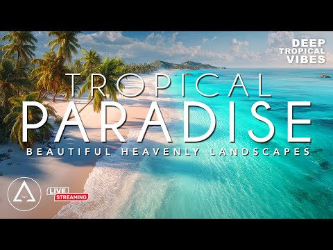 Tropical Paradise - Beautiful Beach & Island Landscapes