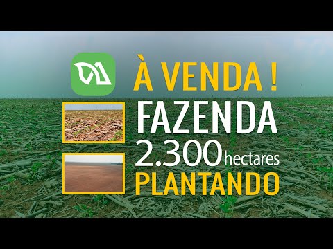 Fazenda PLANTANDO à venda, 2.300 hectares, Marcelândia / Mato Grosso