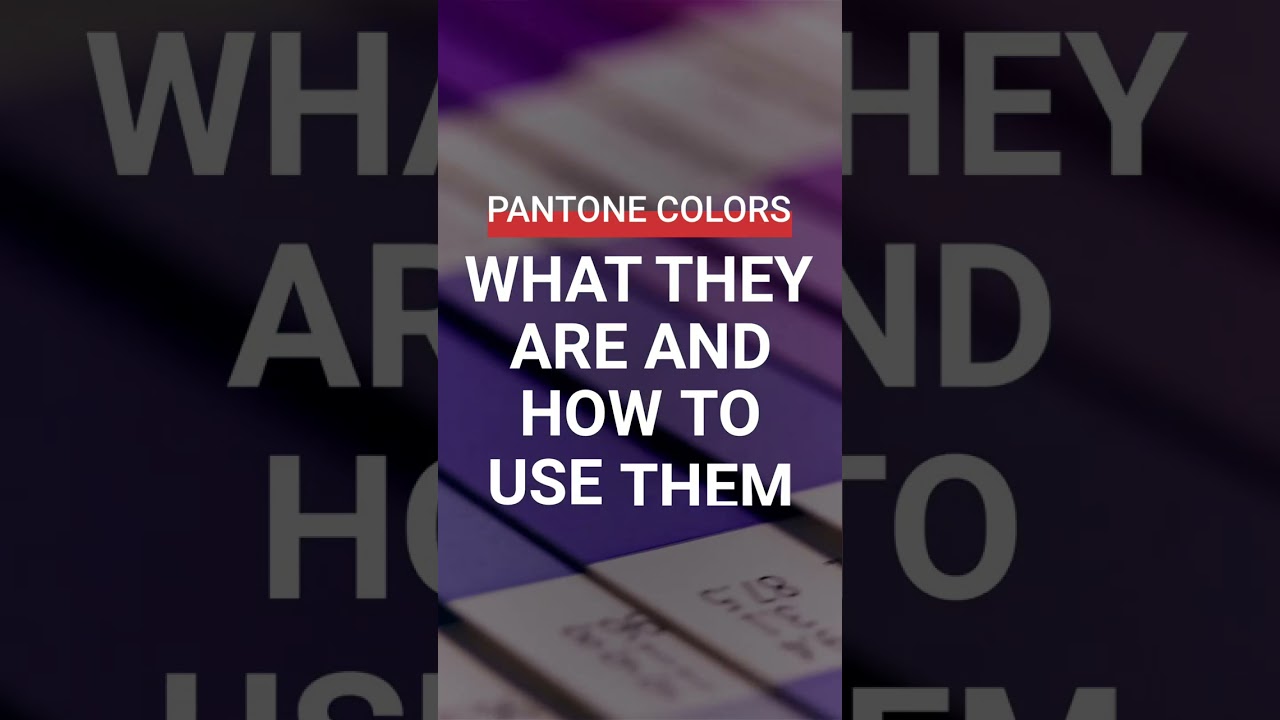 Pantone Colors: What They Are and How to Use Them
