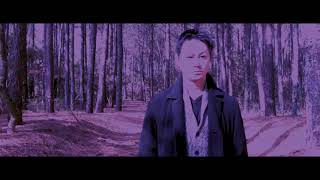 MV「Forest Of Owl」アップしました!
