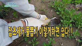 잡초제거 풀뽑기 이렇게하면 쉬워요 잡초방지 제거노하우