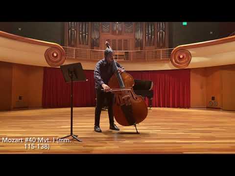 Beethoven 5/Brahms1/Strauss Ein Heldenleben/Mozart 40/Beethoven 9/Verdi Othello